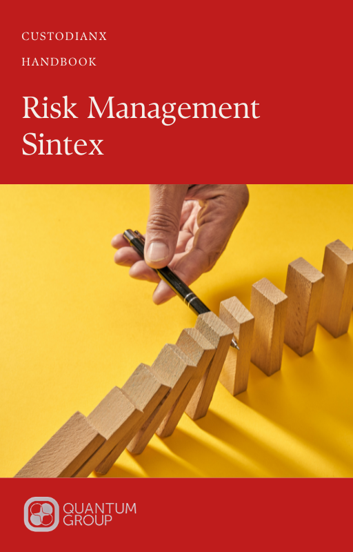 Risk Management Sintex